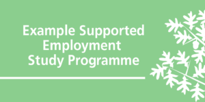 Example Supported Employment Study Programme 300x149