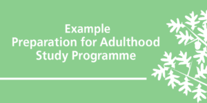 Preparation for Adulthood Study Programme 300x149