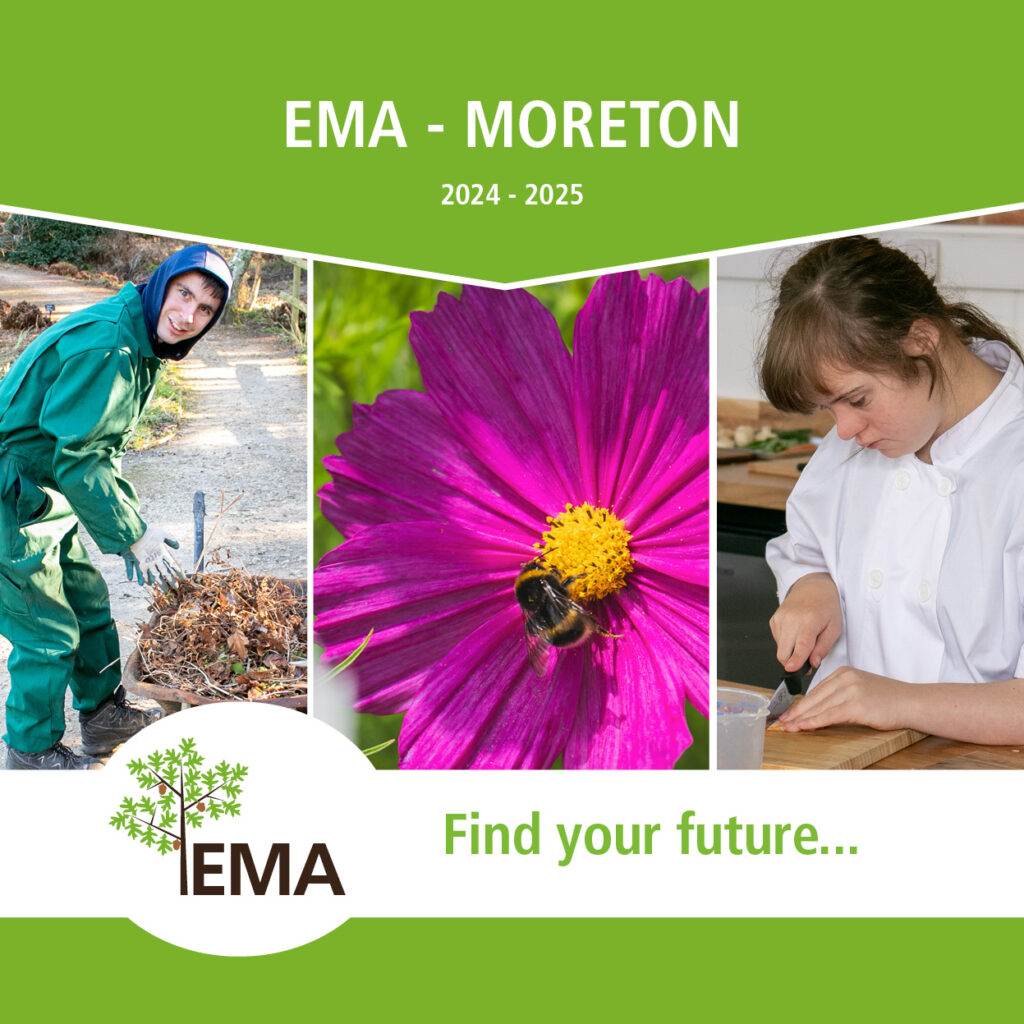 EMA Moreton Prospectus front cover 1024x1024