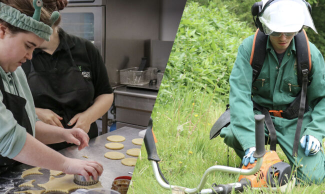 ema website homepage banner 02 650x388